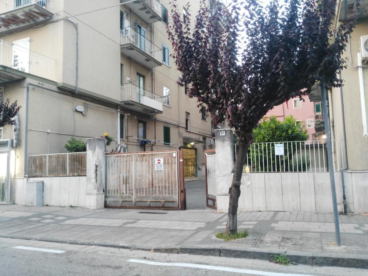 Picentia 19 Bed & Breakfast *